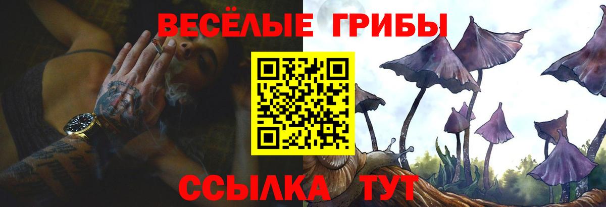 Псилоцибиновые грибы Cubensis  Вход с VPN  Крымск  Галлюциногенные грибы Magic Shrooms 